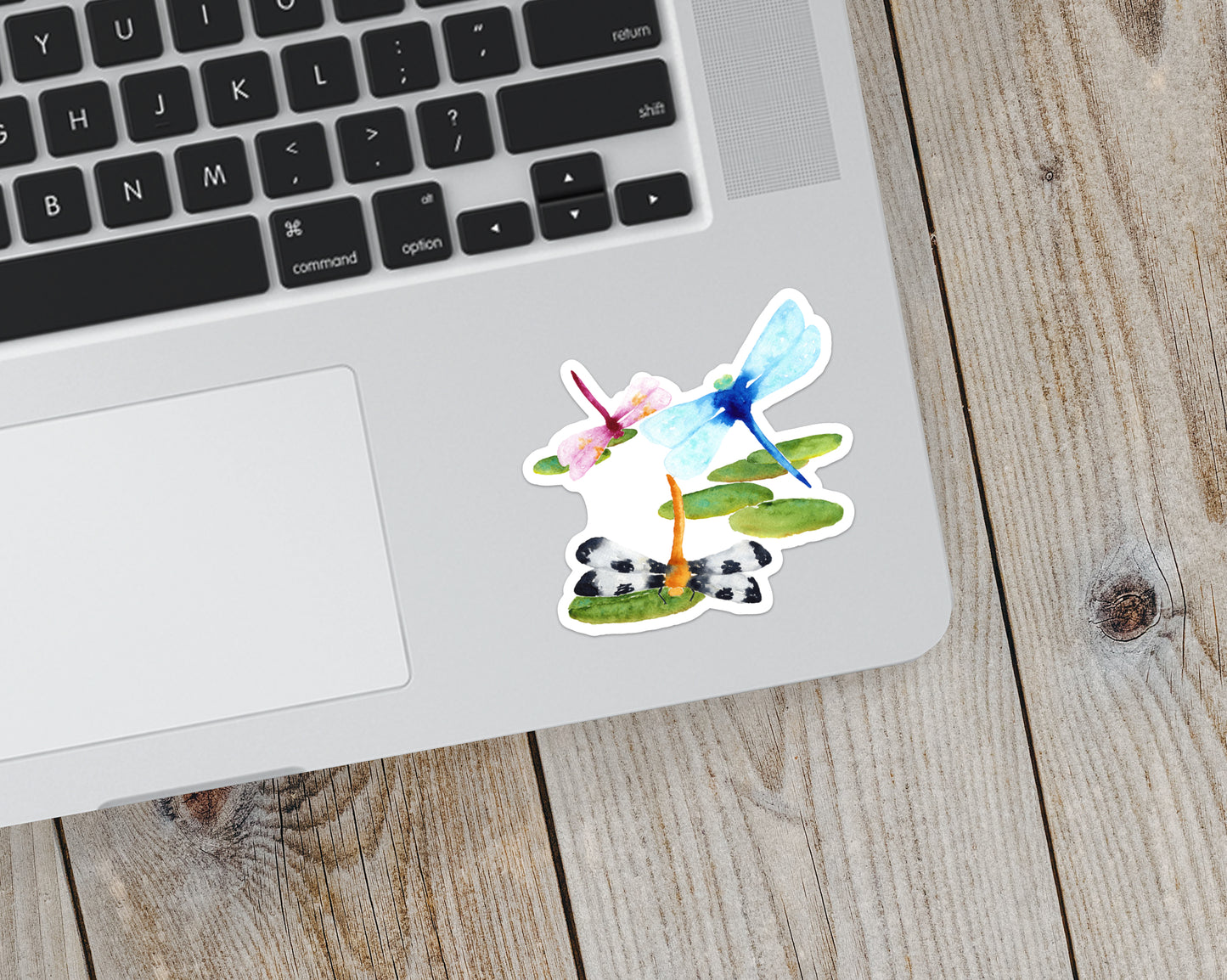 Dragonflies Sticker