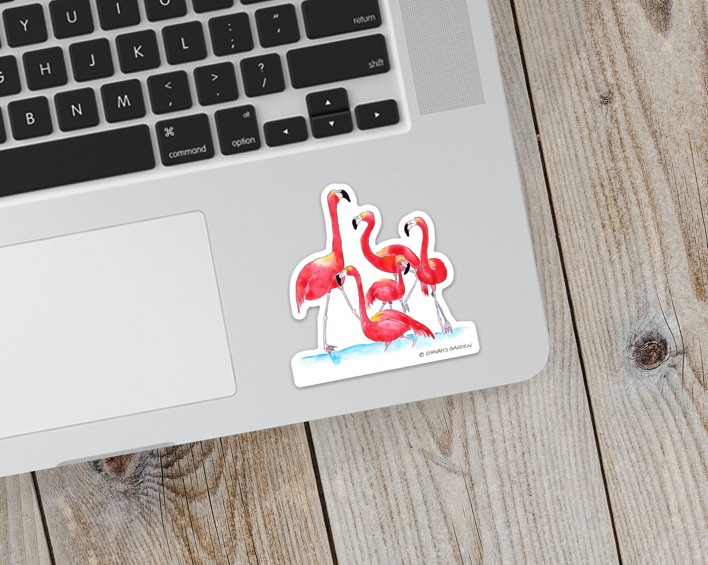 Sticker, Flamingos, Coastal Tropical Nature Theme