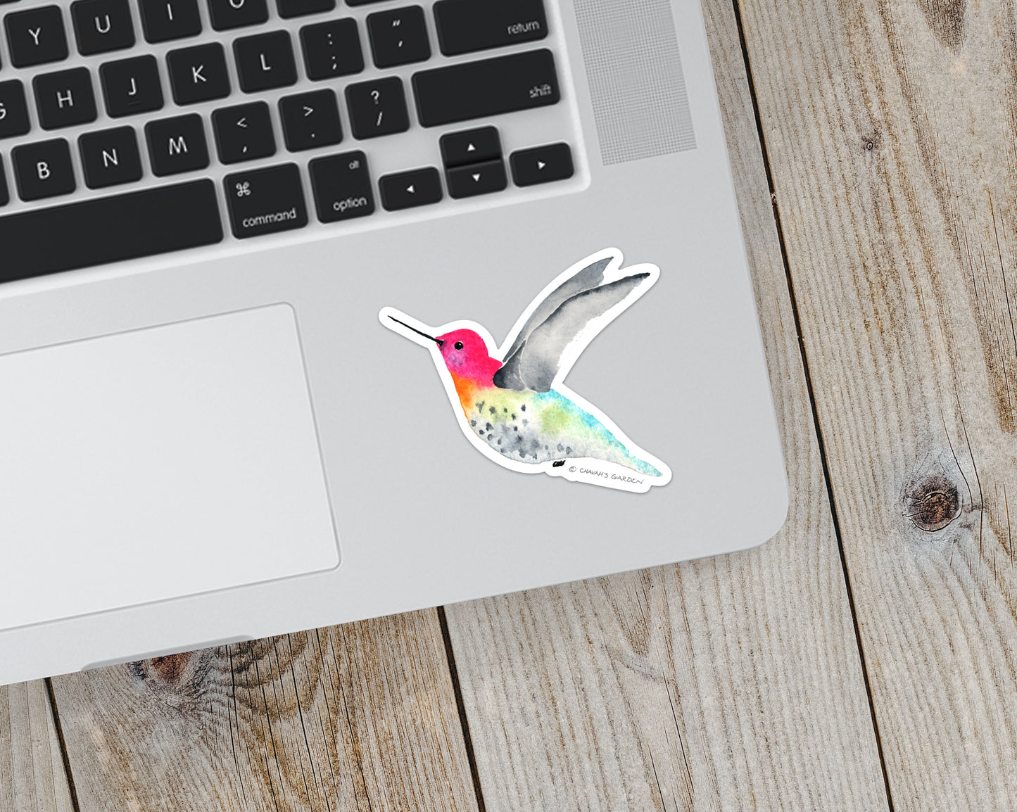 Hummingbird Sticker