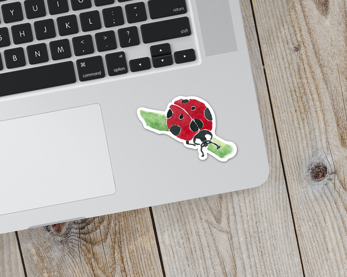 Ladybug Sticker