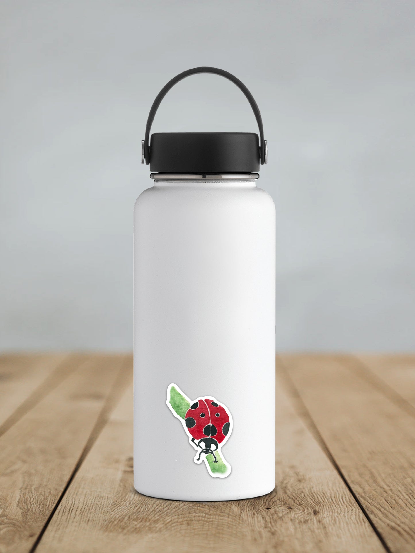 Ladybug Sticker