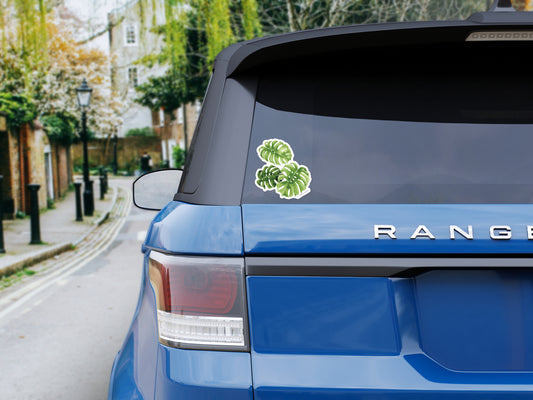 Monstera Bumper Sticker
