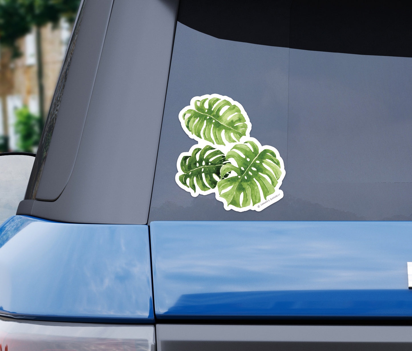 Monstera Bumper Sticker