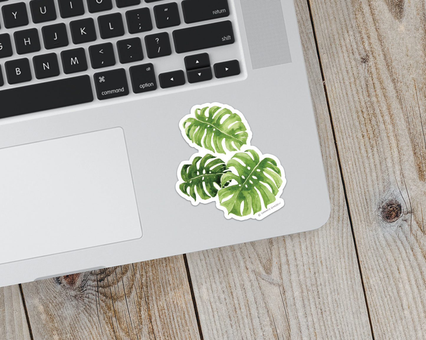 Sticker, Monstera, Tropical Coastal Garden Theme