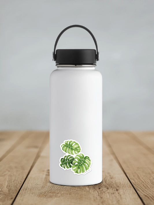 Monstera Sticker