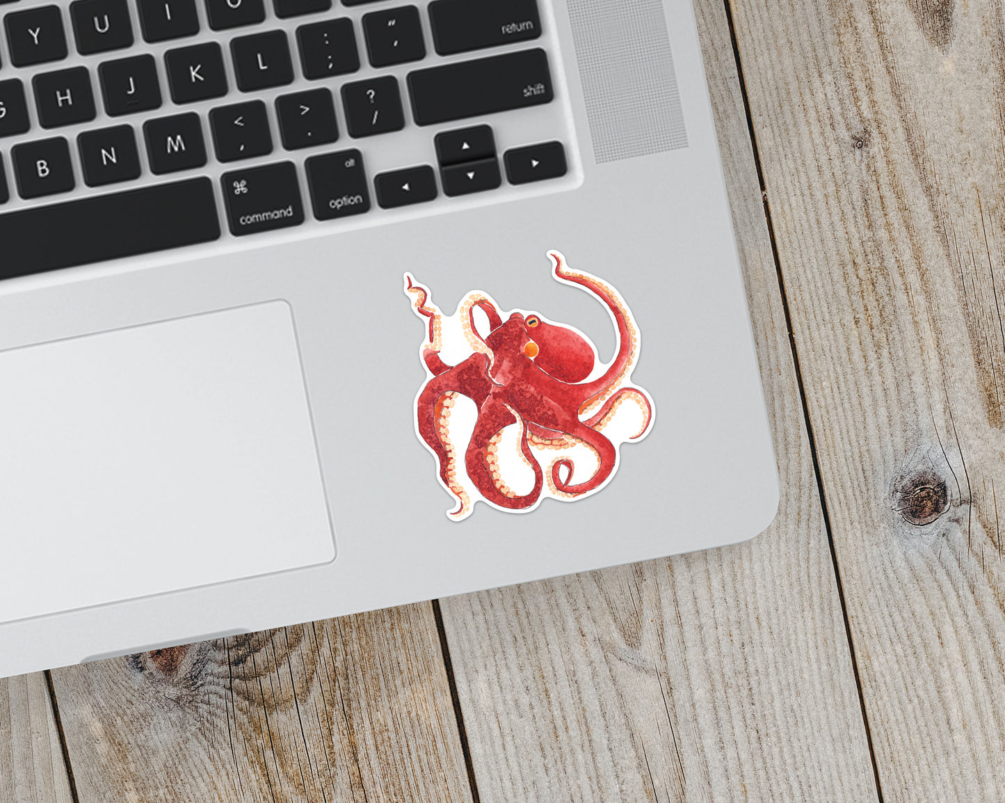 Octopus Sticker