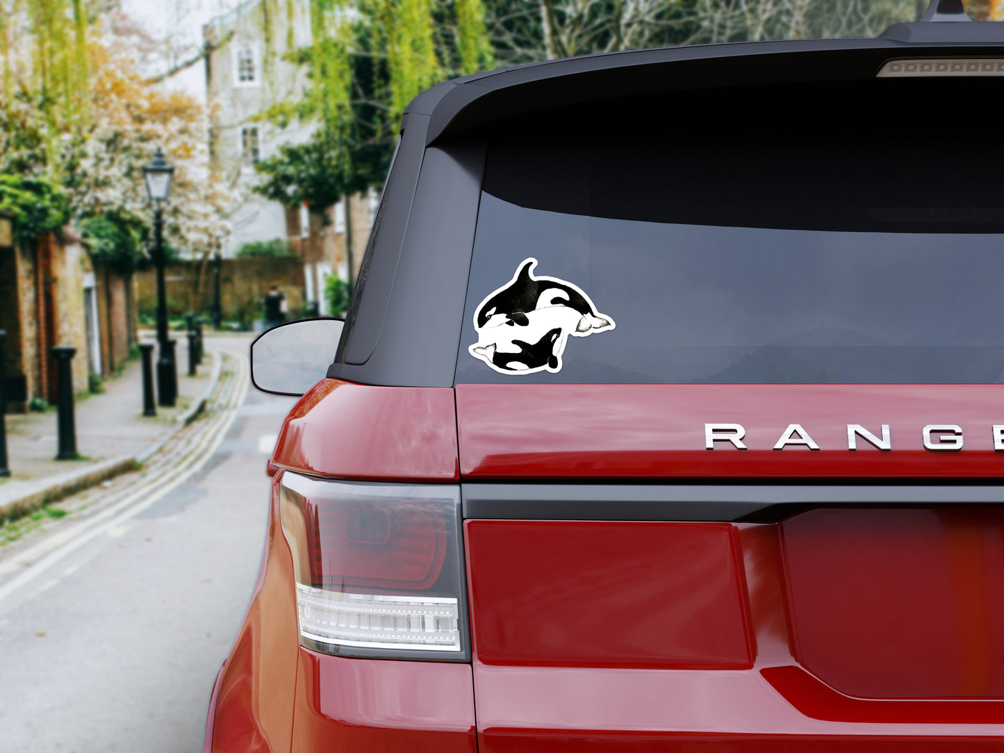 Bumper Sticker, Orca