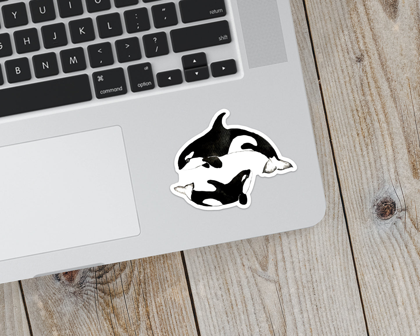 Orca Sticker