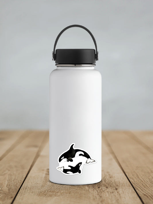 Orca Sticker