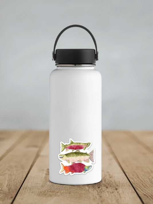 Sticker, Salmon, Coastal Theme
