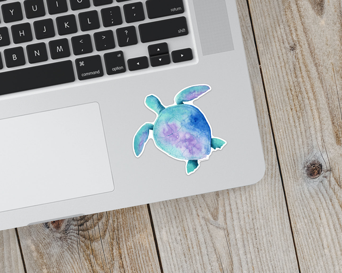 Sticker, Sea Turtle, Coastal Theme