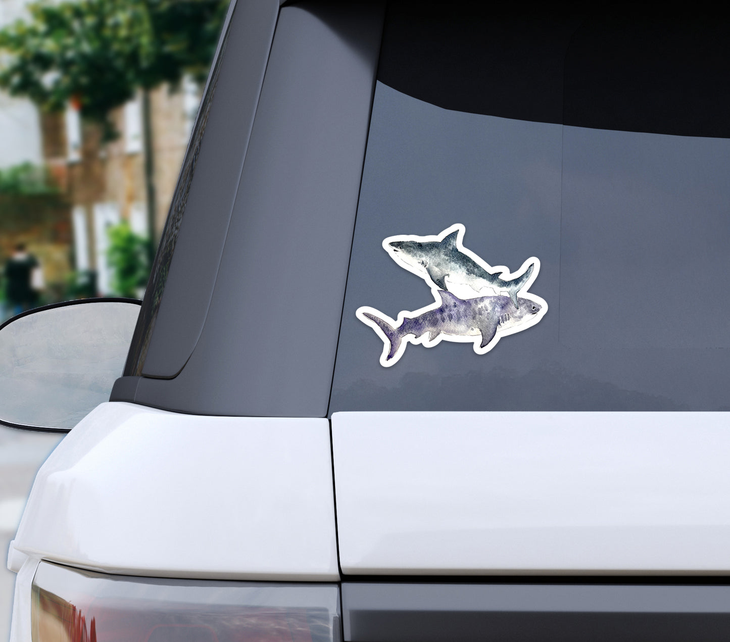 Sharks Bumper Sticker