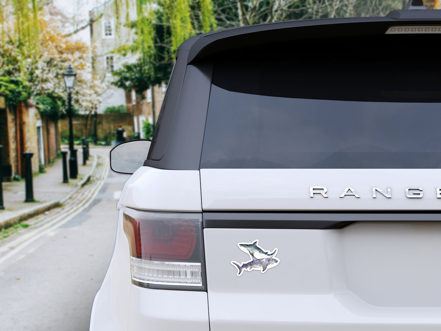Sharks Bumper Sticker