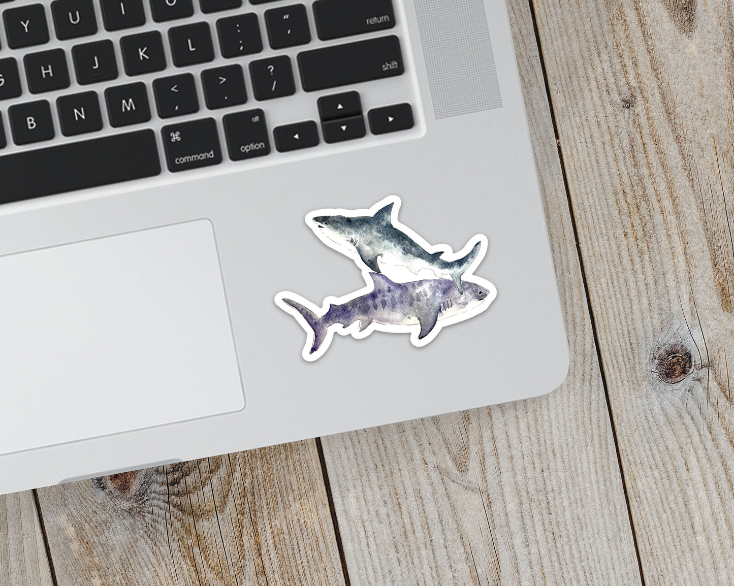 Sticker, Sharks