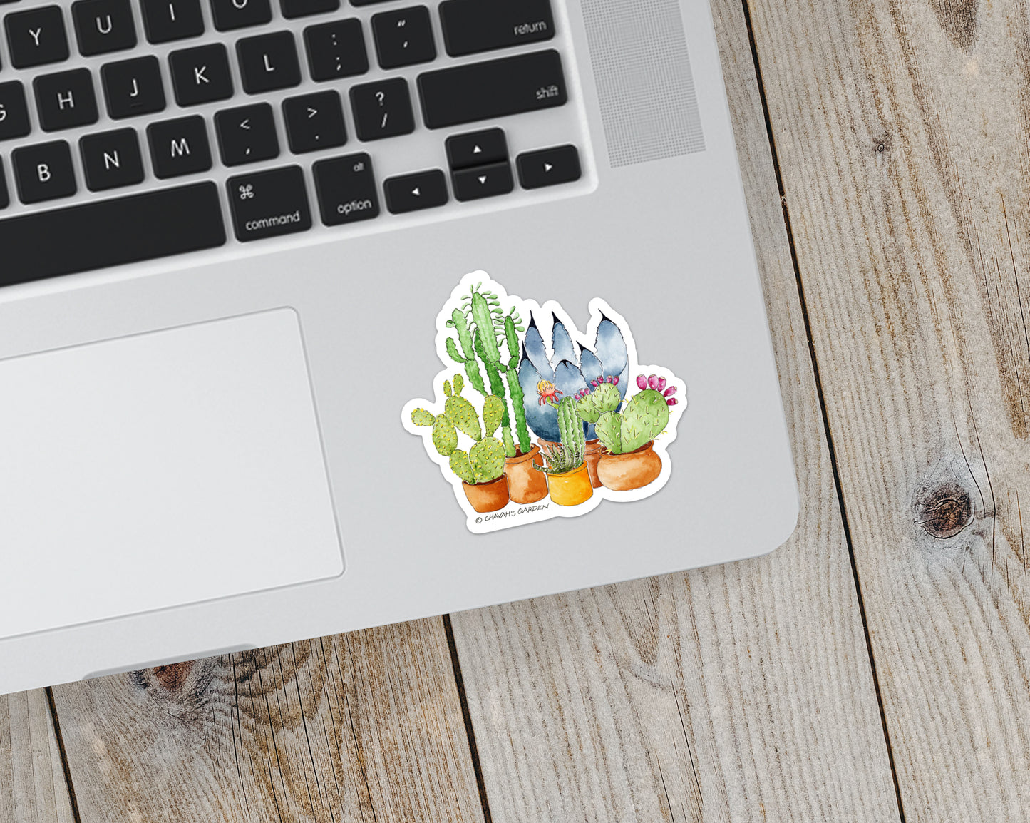Succulents & Cactus Sticker