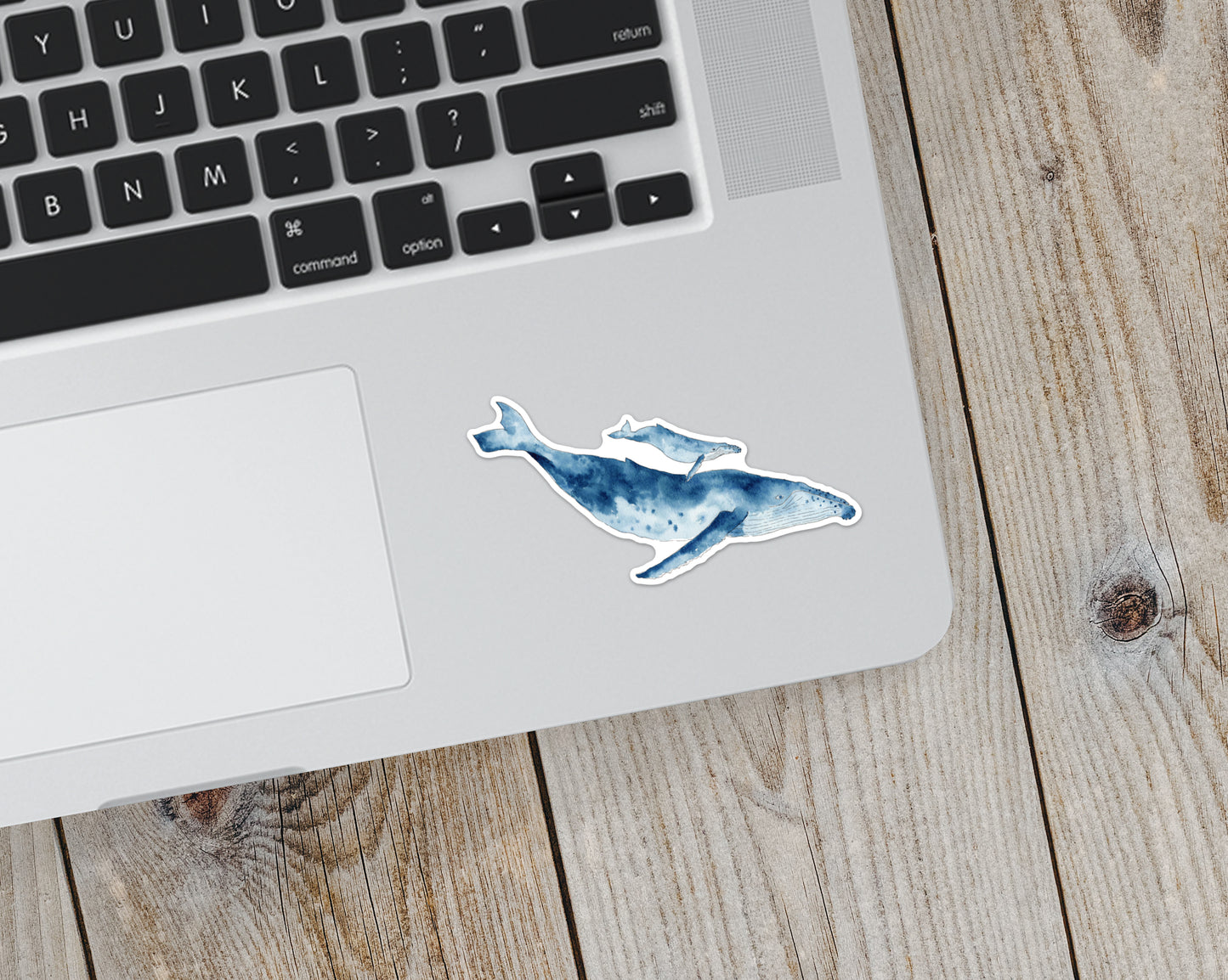 Sticker, Whales, Coastal Theme