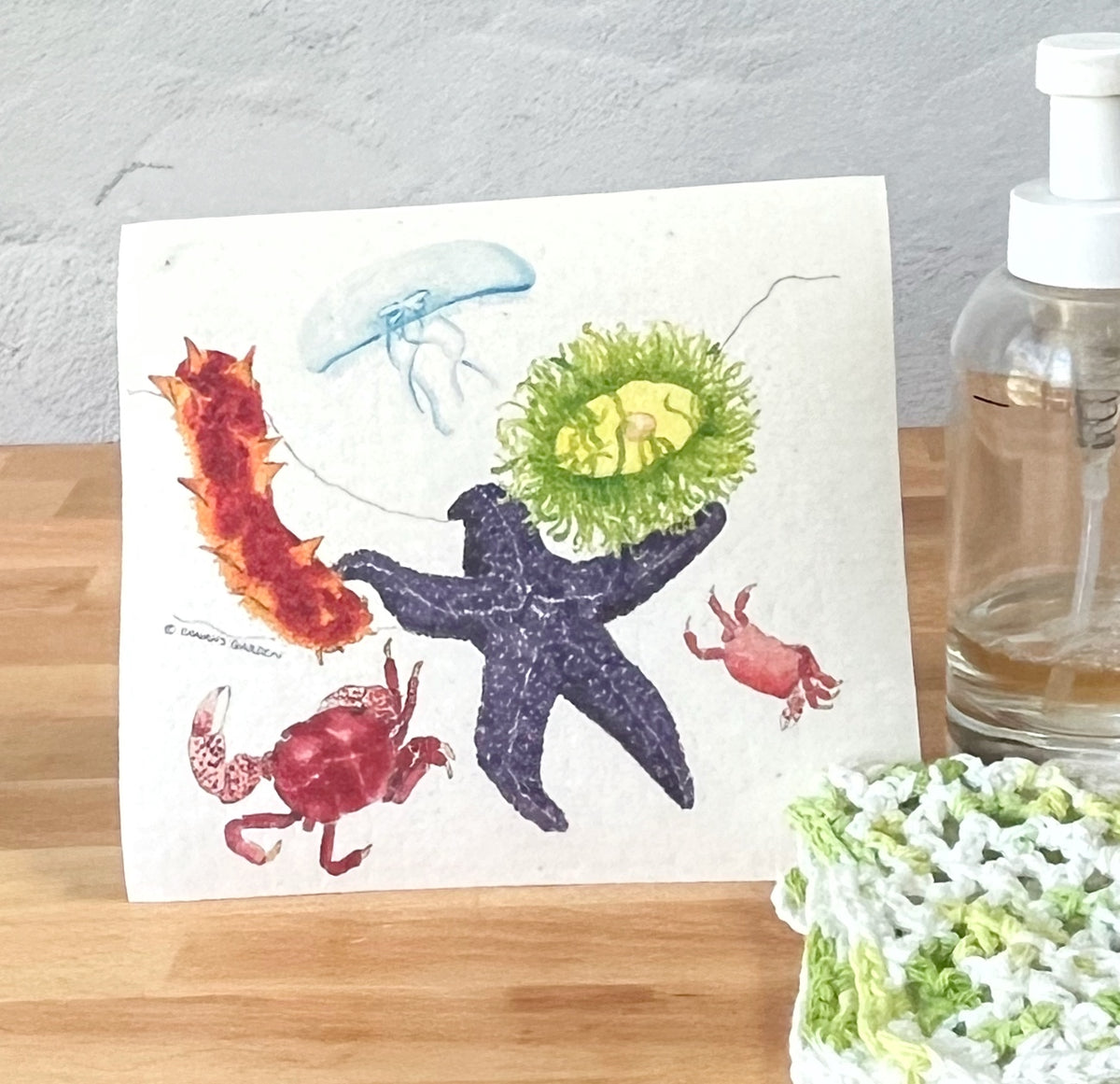 Swedish dishcloth, Sea critters, coastal, tide pool, beach