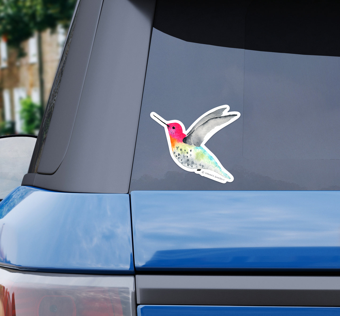 Bumper Sticker, Hummingbird