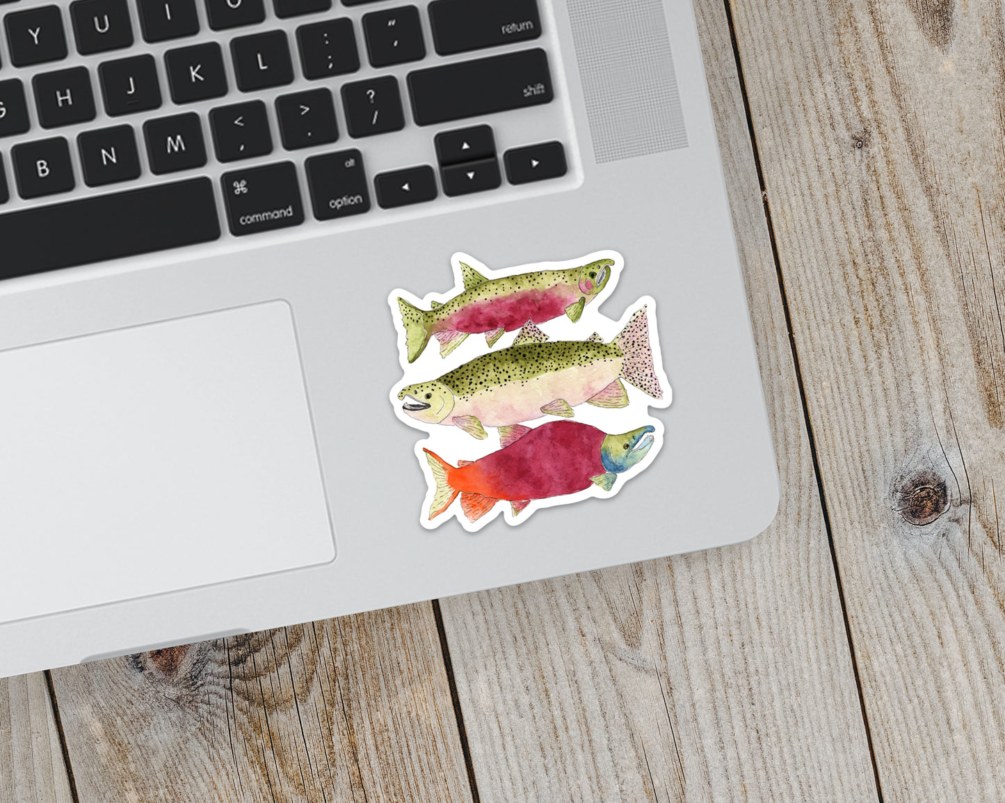 Sticker, Salmon, Coastal Theme