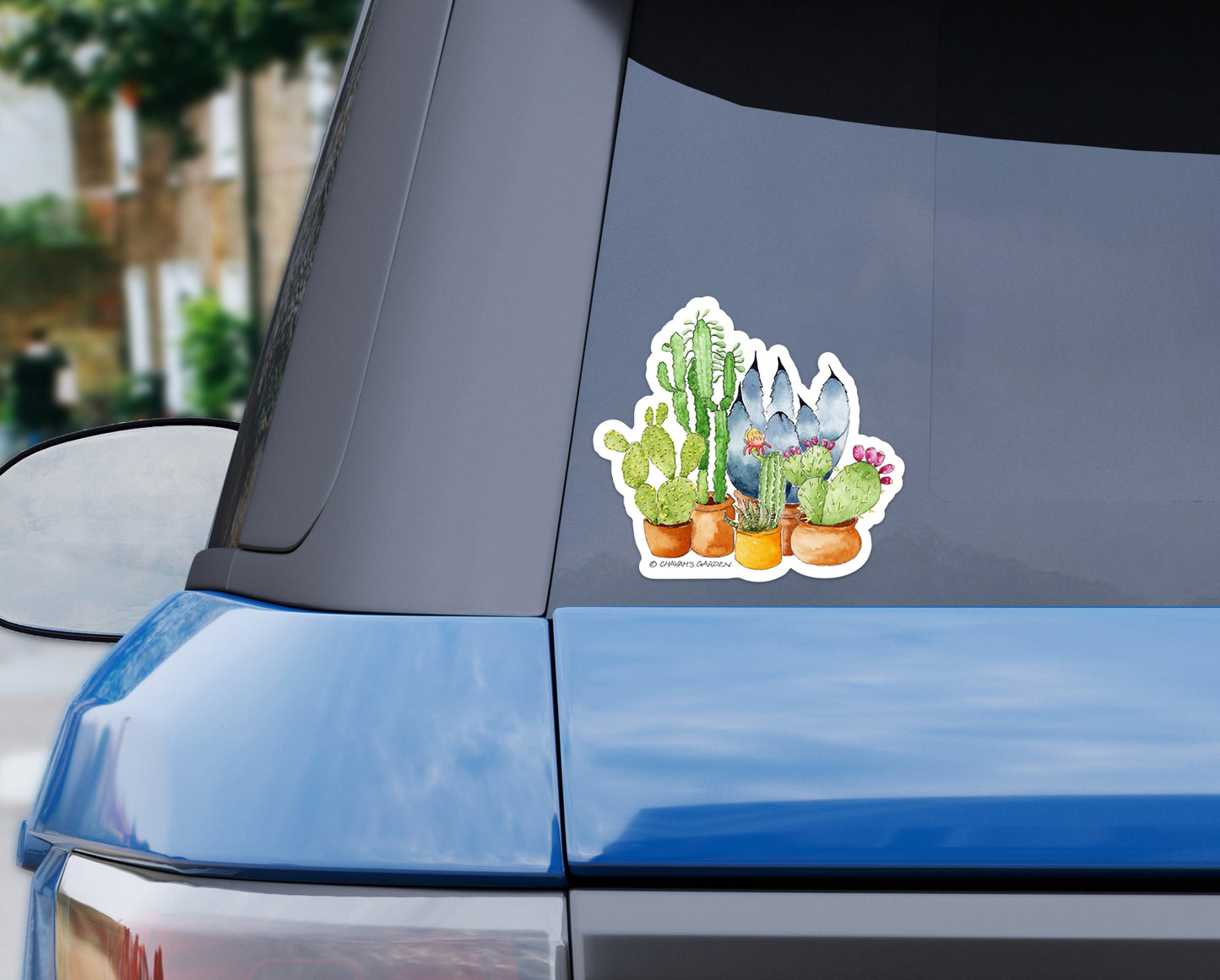 Bumper Sticker, Succulents