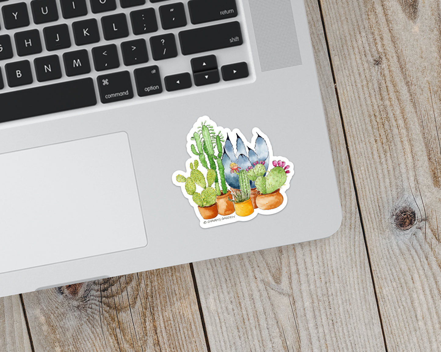 Sticker, Succulents, Garden Southwest Theme