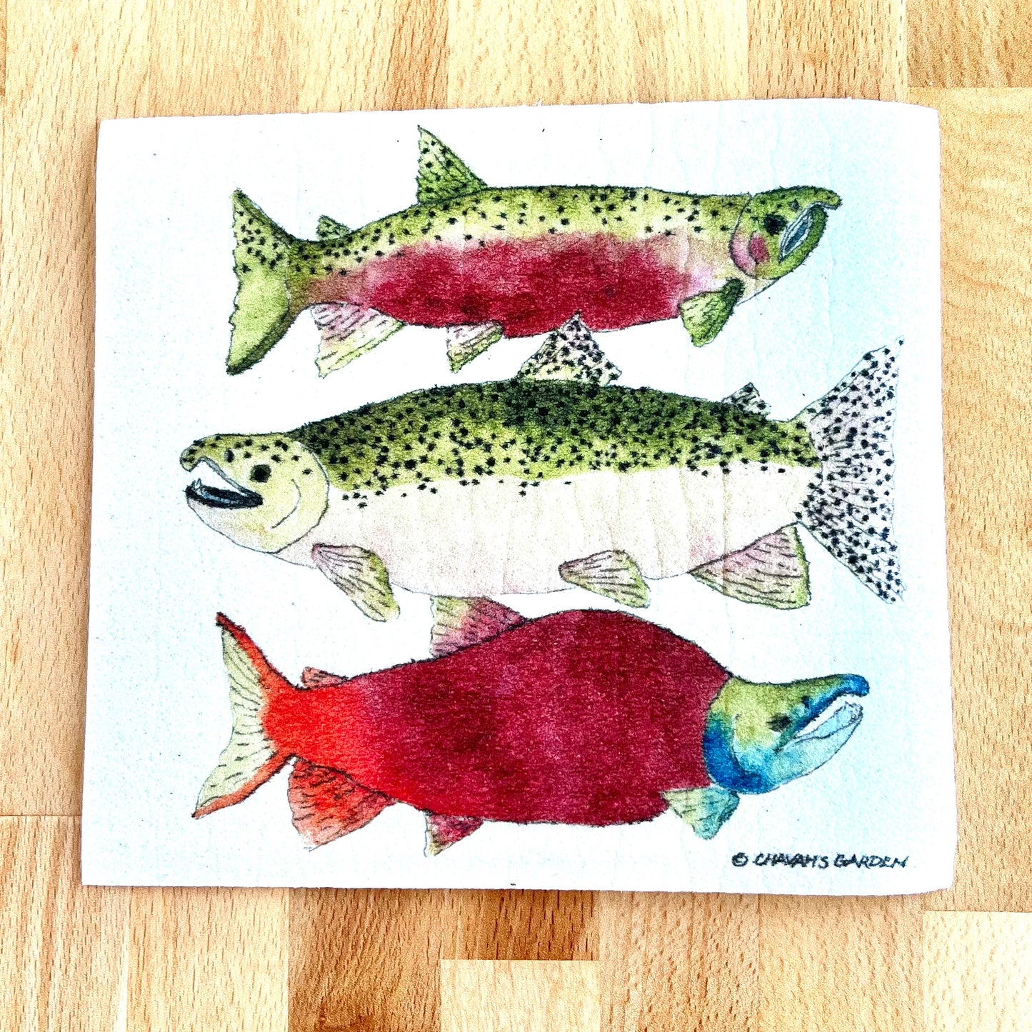 Swedish dishcloth, Salmon, fishing, wildlife