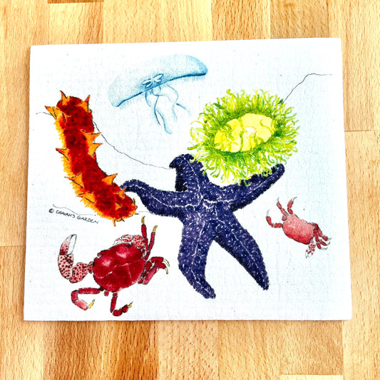 Swedish dishcloth, Sea critters, coastal, tide pool, beach