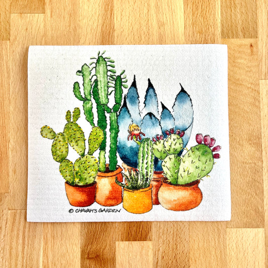 Swedish dishcloth, Succulents & Cactus, southwest, garden