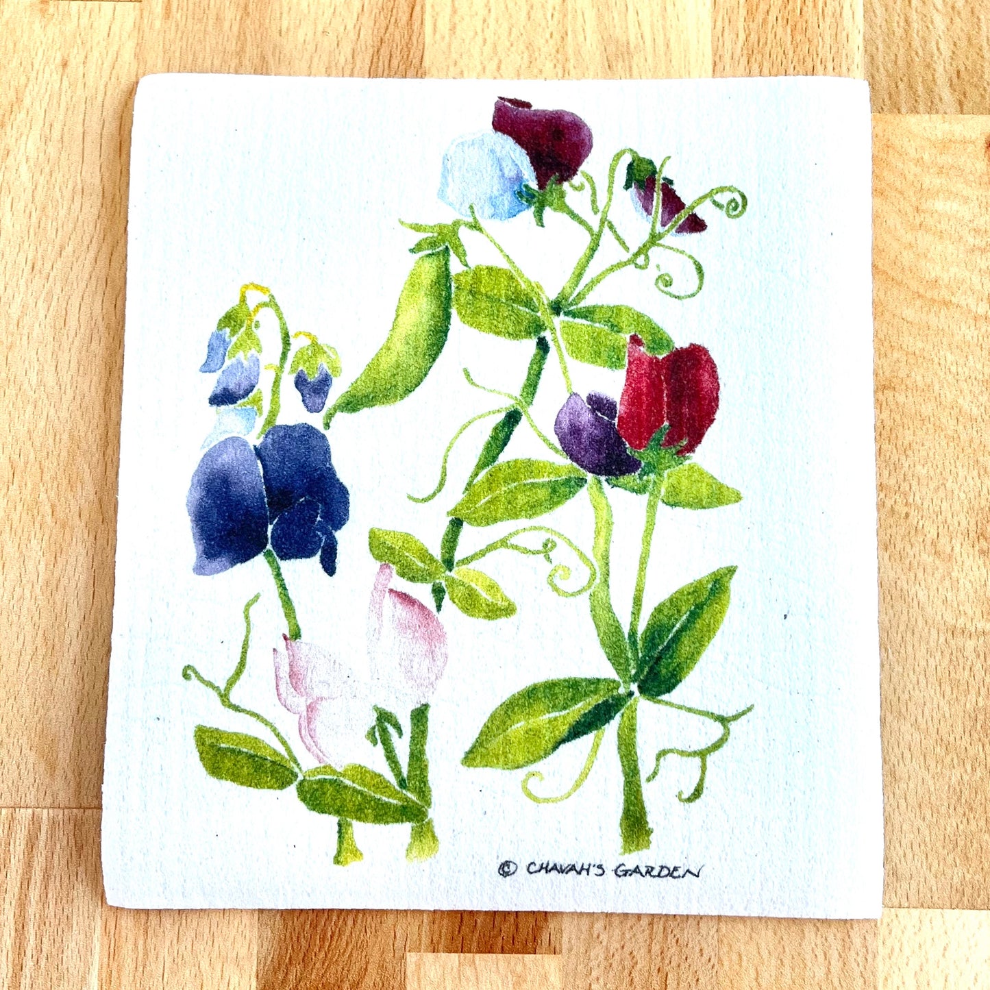 Swedish dishcloth, Sweet Peas, garden, flower